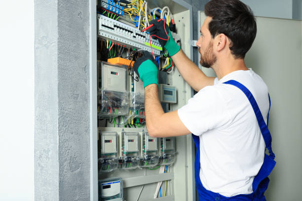 Best Electrical System Inspection  in Reed Creek, GA